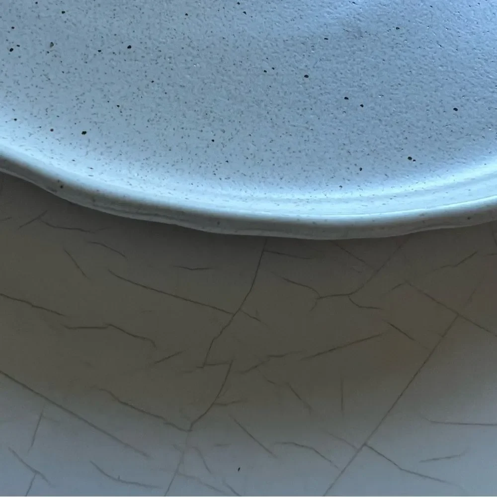 Sango stoneware plate with a speckled glaze. speckled design rustic, farmhouse